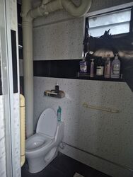 Blk 216 Bukit Batok Street 21 (Bukit Batok), HDB 5 Rooms #569709731